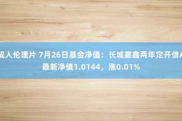 成人伦理片 7月26日基金净值：长城嘉鑫两年定开债A最新净值1.0144，涨0.01%