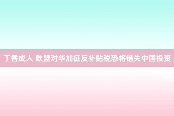 丁香成人 欧盟对华加征反补贴税恐将错失中国投资