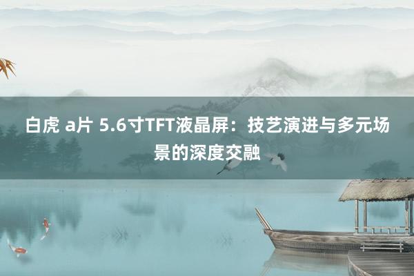 白虎 a片 5.6寸TFT液晶屏：技艺演进与多元场景的深度交融