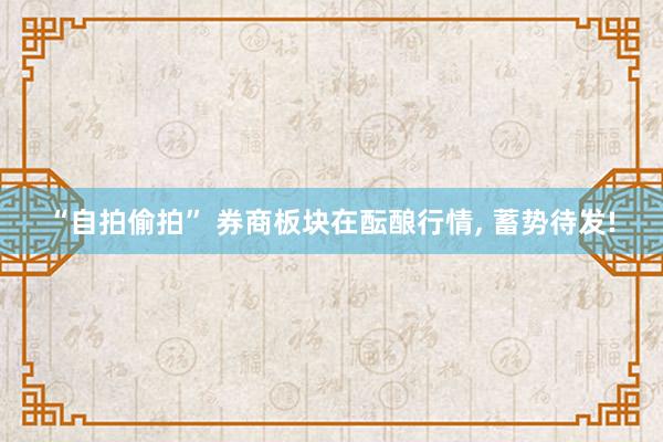 “自拍偷拍” 券商板块在酝酿行情, 蓄势待发!