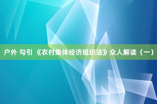 户外 勾引 《农村集体经济组织法》众人解读(一)